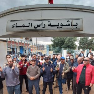 InCollage_20221208_142236937_copy_1024x1024