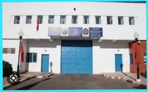 InCollage_20230306_132939329_copy_1024x634