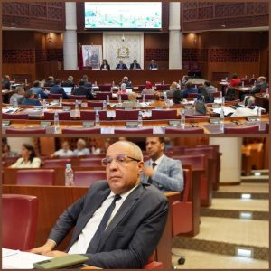 InCollage_20230621_195355849_copy_800x800