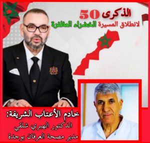 InCollage_20251104_121503233_copy_768x730